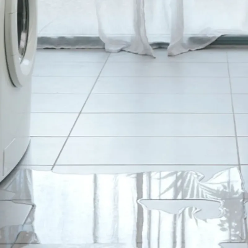 Appliance Leak Cleanup in Sawgrass, FL